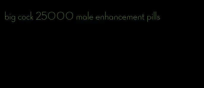 big cock 25000 male enhancement pills