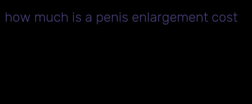 how much is a penis enlargement cost