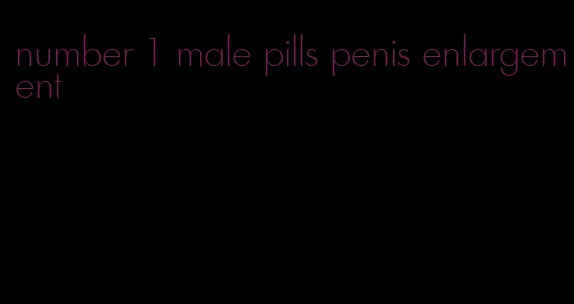 number 1 male pills penis enlargement