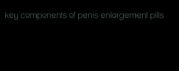 key components of penis enlargement pills