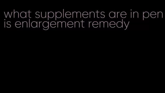 what supplements are in penis enlargement remedy