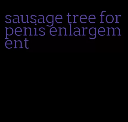 sausage tree for penis enlargement