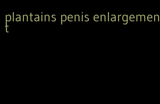 plantains penis enlargement