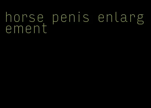 horse penis enlargement