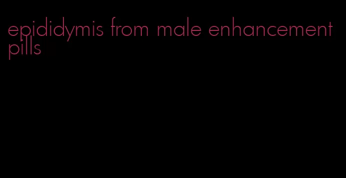 epididymis from male enhancement pills