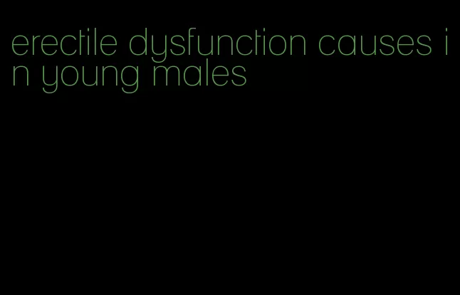 erectile dysfunction causes in young males