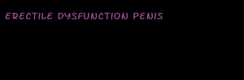 erectile dysfunction penis