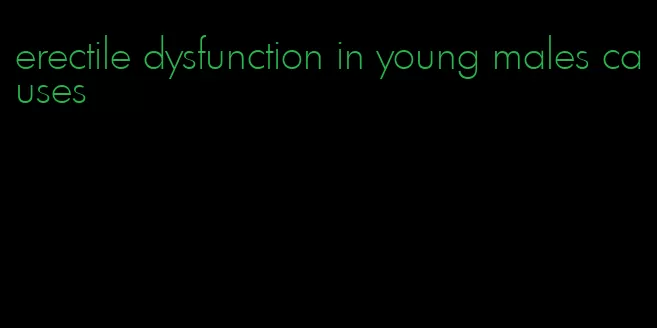 erectile dysfunction in young males causes