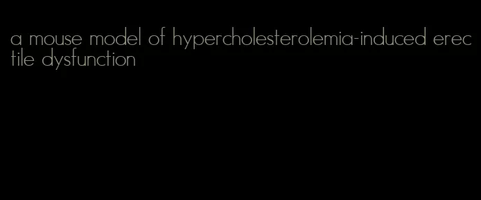 a mouse model of hypercholesterolemia-induced erectile dysfunction