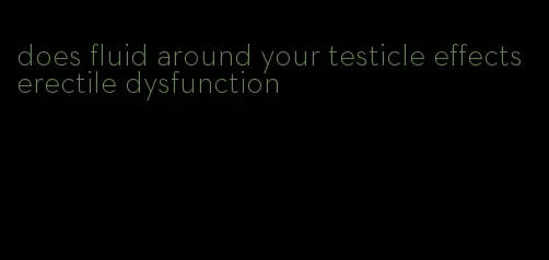 does fluid around your testicle effects erectile dysfunction