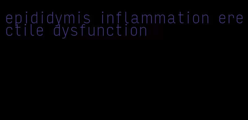 epididymis inflammation erectile dysfunction