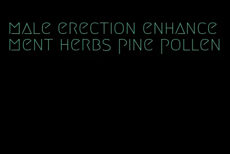 male erection enhancement herbs pine pollen