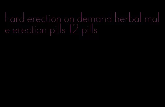 hard erection on demand herbal male erection pills 12 pills