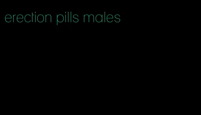 erection pills males