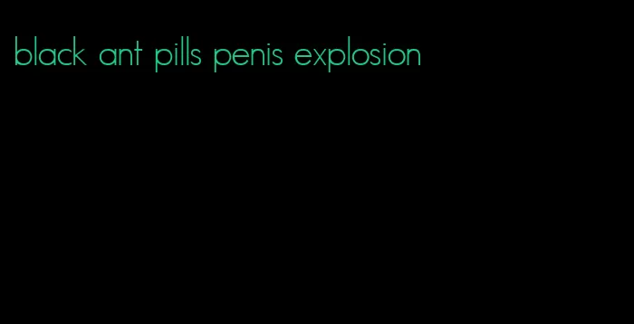 black ant pills penis explosion