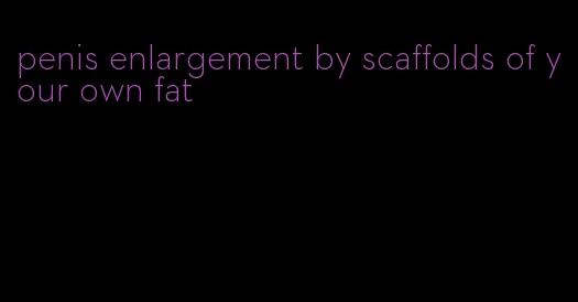 penis enlargement by scaffolds of your own fat