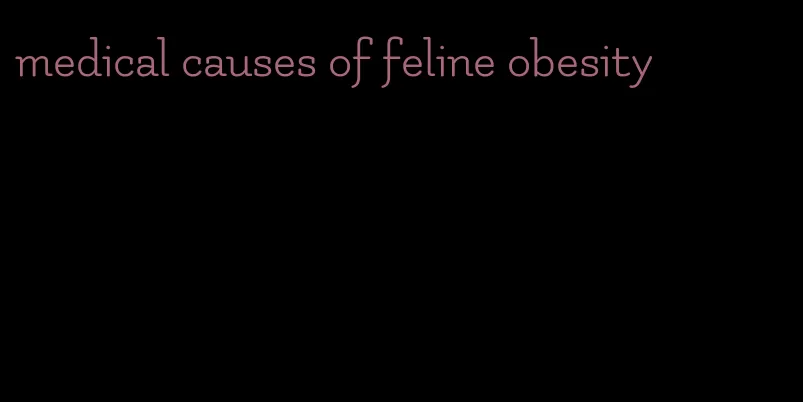 medical causes of feline obesity