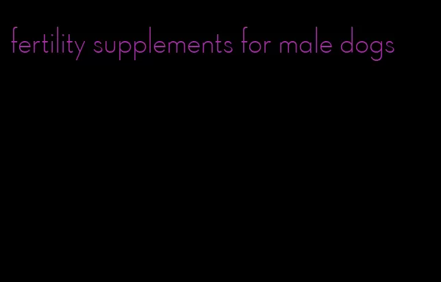 fertility supplements for male dogs