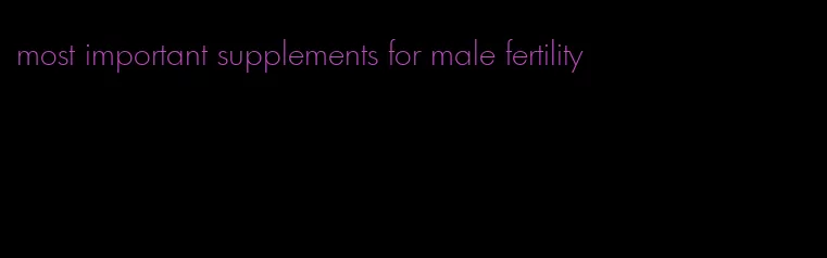 most important supplements for male fertility