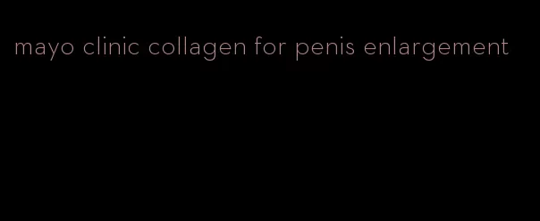 mayo clinic collagen for penis enlargement