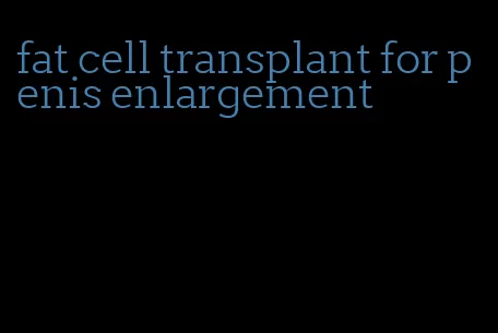 fat cell transplant for penis enlargement