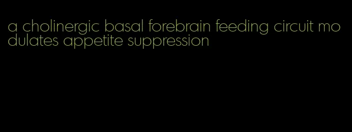 a cholinergic basal forebrain feeding circuit modulates appetite suppression