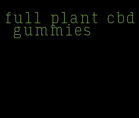 full plant cbd gummies