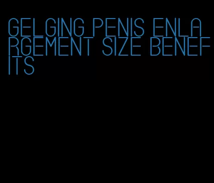 gelging penis enlargement size benefits