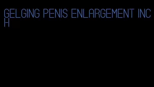 gelging penis enlargement inch