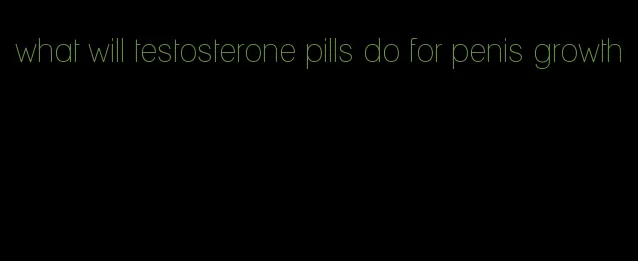 what will testosterone pills do for penis growth