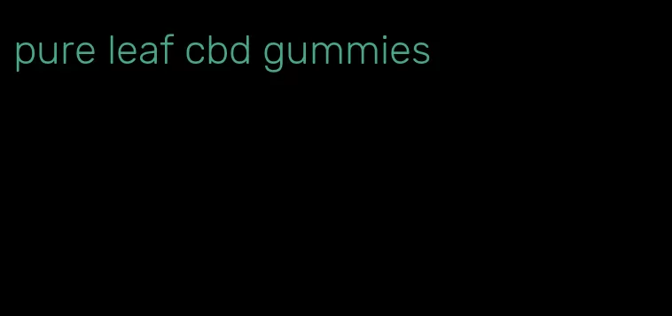 pure leaf cbd gummies