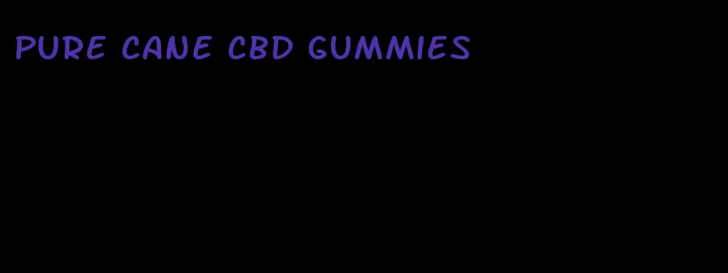 pure cane cbd gummies