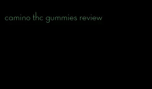 camino thc gummies review