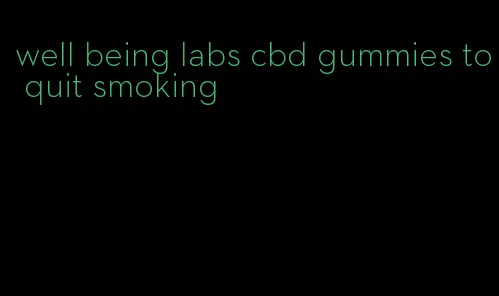 well being labs cbd gummies to quit smoking