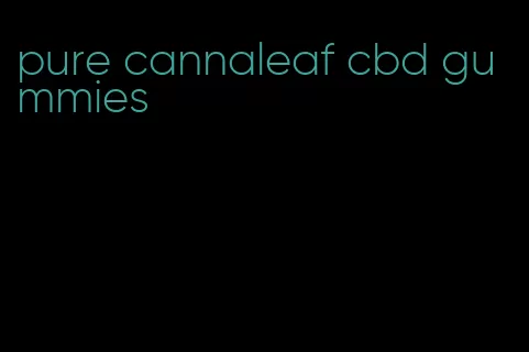 pure cannaleaf cbd gummies