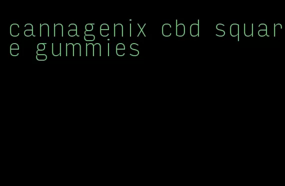 cannagenix cbd square gummies