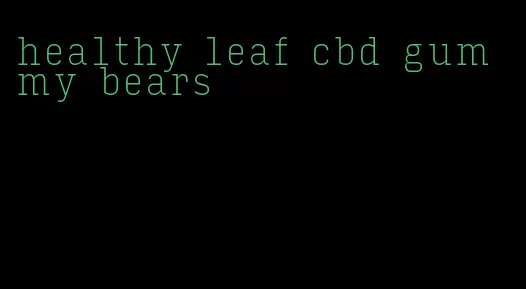 healthy leaf cbd gummy bears