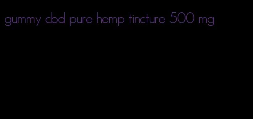 gummy cbd pure hemp tincture 500 mg