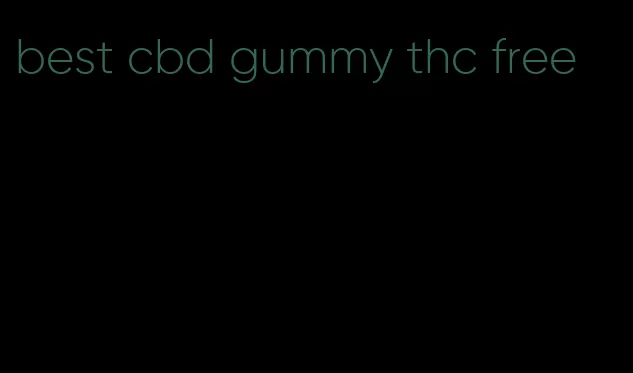 best cbd gummy thc free