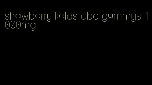 strawberry fields cbd gummys 1000mg