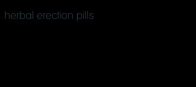 herbal erection pills