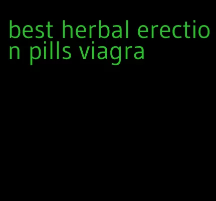 best herbal erection pills viagra