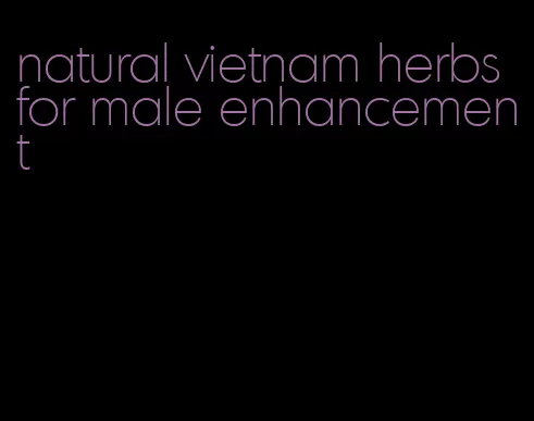 natural vietnam herbs for male enhancement