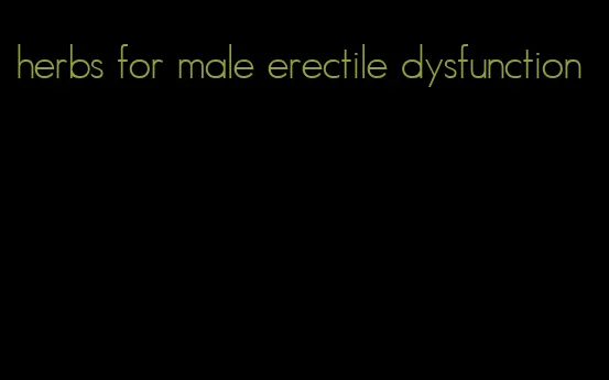 herbs for male erectile dysfunction