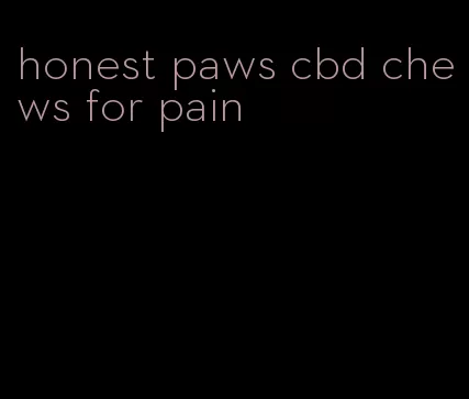 honest paws cbd chews for pain