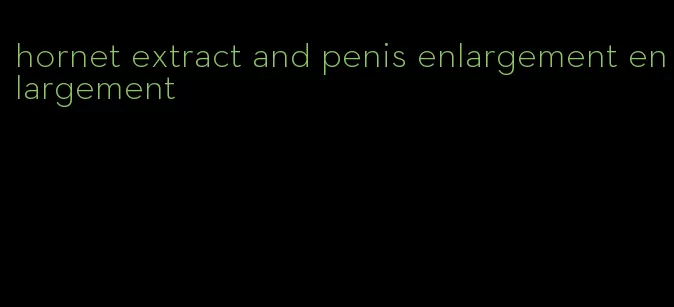 hornet extract and penis enlargement enlargement