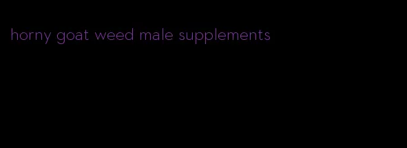 horny goat weed male supplements