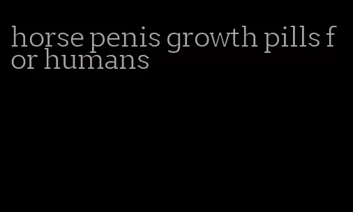 horse penis growth pills for humans