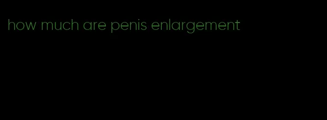 how much are penis enlargement