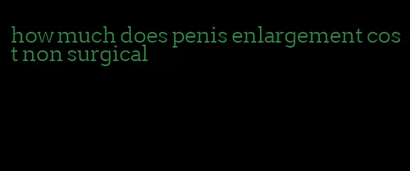 how much does penis enlargement cost non surgical